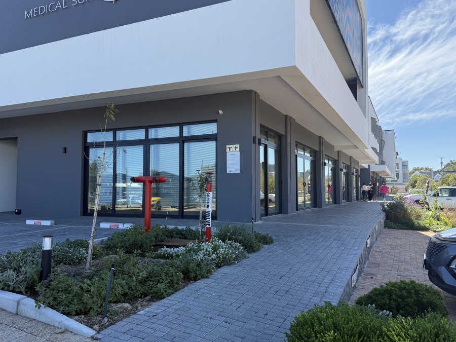 To Let Commercial Property for Rent in Paardevlei Western Cape